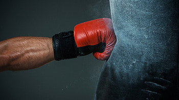 Punching bag, Boxing Gloves HD wallpaper