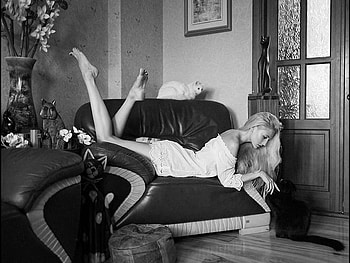 TIME FOR MY CATS, life, graphy, cats, bw, woman HD wallpaper