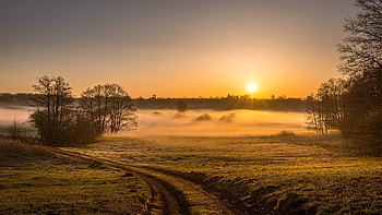 Foggy Sunrise in Northern Germany, mist, trees, landscape, sky, sun HD wallpaper
