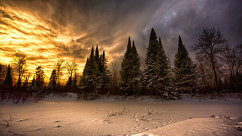 Pinewood River, Ontario, canada, snow, winter, trees, clouds, sky, sunset HD wallpaper