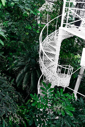 Plants, Flowers, Stairs, Ladder, Circular, Botanical Garden, Botanic Gardens HD phone wallpaper