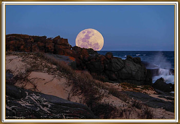 BINGIE, NSW, AUSTRALIA, NATURE, BINGIE, , BEACH HD wallpaper