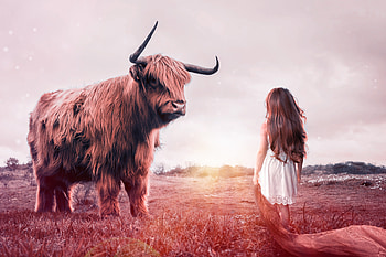 Child Bull Fantasy, child, bull, fantasy, graphy, little-girl HD wallpaper