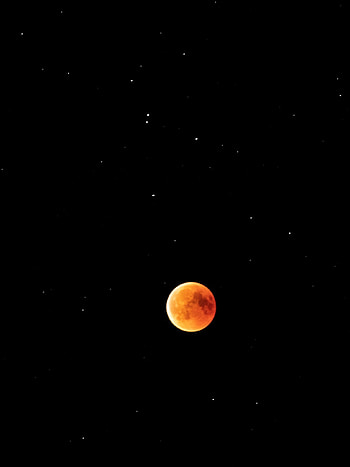 Breathtaking blood moon , Celestial beauty, Starry sky spectacle, Captivating astronomy HD phone wallpaper