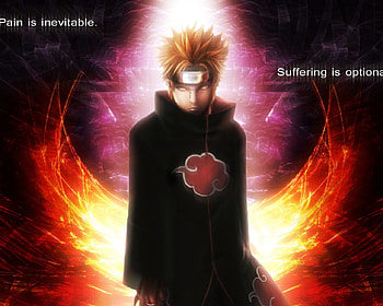 pien, ninja HD wallpaper