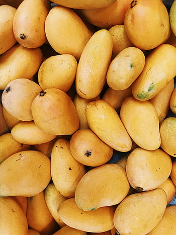 A vibrant pile of fresh yellow mangoes, highlighting the tropical fruit's natural beauty and summer appeal. HD phone wallpaper