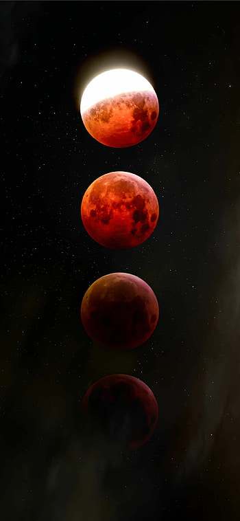 Phases, Lunar Eclipse HD phone wallpaper