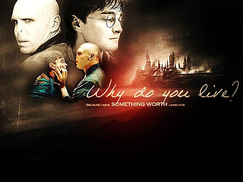 Why Do You Live?, erh, h, rg, egr, rth, tg HD wallpaper