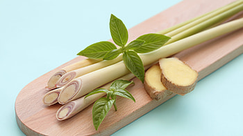 Ayurvedic remedy, Lemongrass kadha, Herbal drink, Traditional healing HD wallpaper