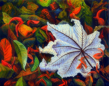 Different Autumn Leaves, fall, psychedelic, colors, traditional art, paintings, beautiful, autumn beauty, creative pre-made, love four seasons, leaves, autumn, draw and paint, amazing, white leaf, different HD wallpaper