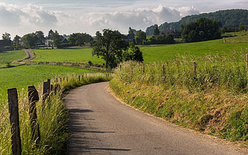 Nature, Grass, Sky, Summer, Road HD wallpaper