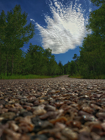 Nature, Trees, Clouds, Road, Dahl, Distance HD phone wallpaper