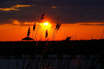 Corolla, NC Bay Side, corolla, outerbanks, sunset HD wallpaper