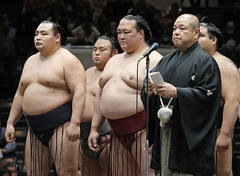 Hakkaku Nobuyoshi, Sumo HD wallpaper
