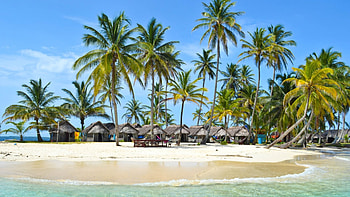 Summer, sea, sand, palm, beach HD wallpaper