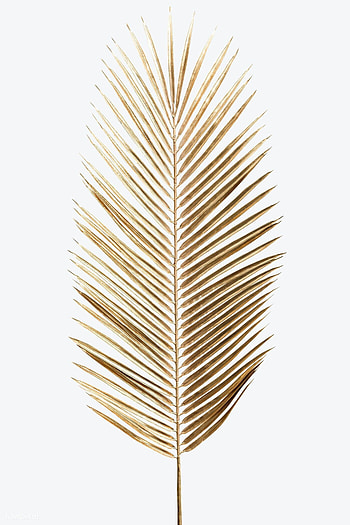 Gold, Timeless elegance, Luxurious touch, Opulent beauty HD phone wallpaper