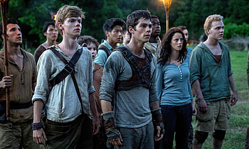 The Maze Runner, Movie , High-quality , resolution HD wallpaper