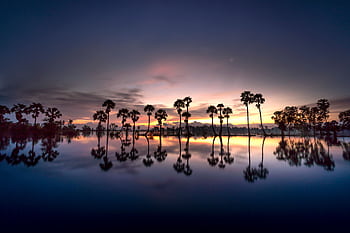 A breathtaking sunset with palm trees reflecting in a serene lake, capturing nature's beauty. HD wallpaper