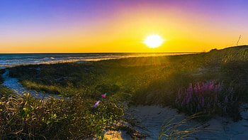 Sunset at Laguna Beach, Florida, sky, flowers, sun, colors, landscape, usa HD wallpaper