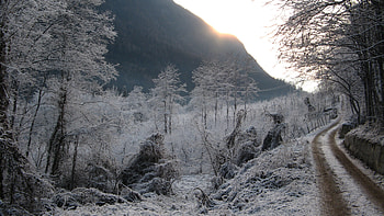 Winter, Nature, Road, Frost, Hoarfrost, Gray Hair, Gloomy, Cold, Country, Countryside, Melancholy, Yearning HD wallpaper
