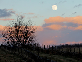 Nature, Twilight, Clouds, Moon, Dusk, Fence HD wallpaper