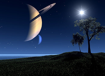 Planet, digital, art, space, tree HD wallpaper