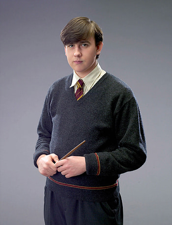Neville Longbottom, Harry Potter, Portrait, Fan Zone HD phone wallpaper