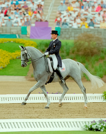 Guenter Seidel, Dressage HD phone wallpaper