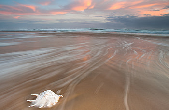 Simply Beautiful, colorful, shells, sand, colors, peaceful, sunrise, beauty, beach, waves, ocean, sunset, sea, beautiful, shell, pretty, clouds, nature, sky, lovely, splendor HD wallpaper