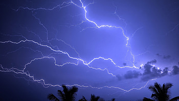 Lightning Storm Palm Sky HD wallpaper
