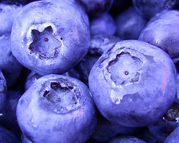 Food, Blueberry , U TV background HD wallpaper