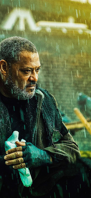 John Wick: Chapter 3 – Parabellum, Laurence Fishburne HD phone wallpaper
