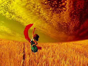Girl in Fields, girl, beautiful, , in fields HD wallpaper