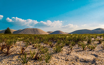 Desert in Malaysia, desert, Malaysia, hills, plants HD wallpaper