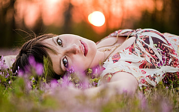 Girl lying in the Field, girl, flowers, lying, field HD wallpaper