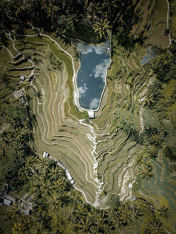 Landscape, Nature, View From Above, Tropics HD phone wallpaper