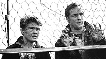 Tom Handley, Marlon Brando HD wallpaper