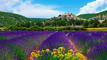 Provence, France HD wallpaper