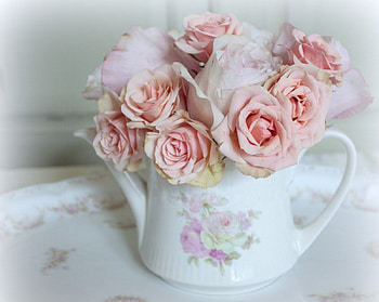 teapot of pink roses, still life, flowers, roses, teapot HD wallpaper