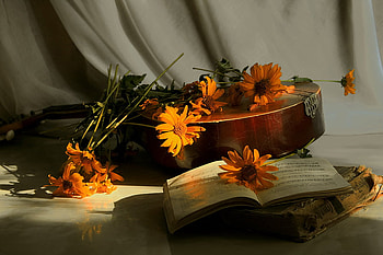 flowers,book and mandolin, still life, book, mandolin, flowers, nice HD wallpaper