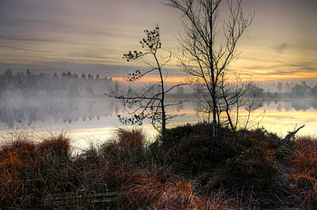 Landscape, Nature, Trees, Sunset, Lake, Fog HD wallpaper