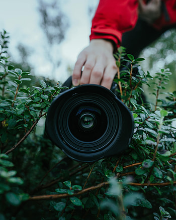 Bush, Hand, Miscellanea, Miscellaneous, Lens, Camera HD phone wallpaper
