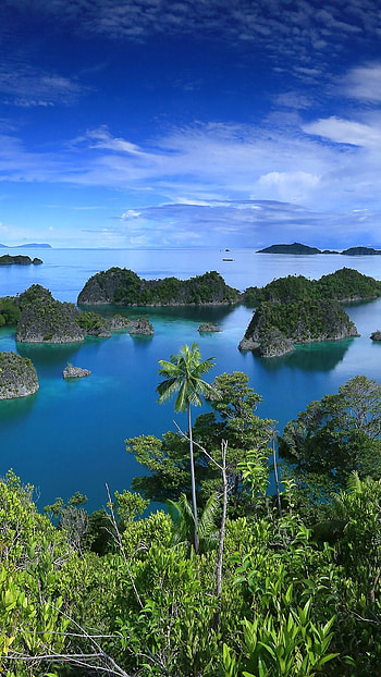 Raja Ampat Islands, West Papua province, Windows 10 spotlight , Landscape HD phone wallpaper