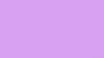 solid color one colour single plain violet HD wallpaper