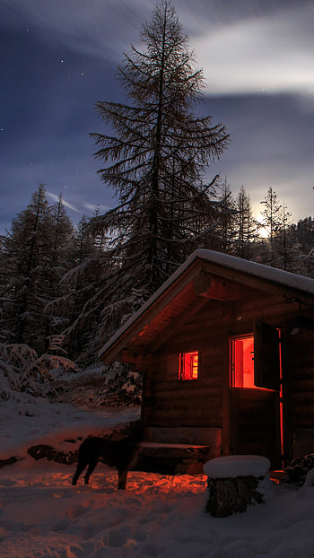 Winter Chalet at Night, night, snow, house, cottage, graphy, winter, winter night, night snow HD phone wallpaper
