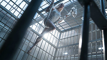 Harley Quinn Suicide Squad Movie, suicide-squad, movies, 2016-movies, harley-quinn HD wallpaper