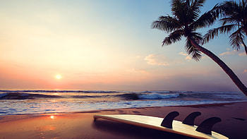 Slanting Palm Trees Ocean Waves Beach Sand Surf Board During Sunset Nature HD wallpaper