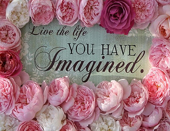 Live your Life, pastel, words, pink, message, roses, deep HD wallpaper