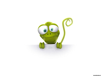 Funny HD wallpaper