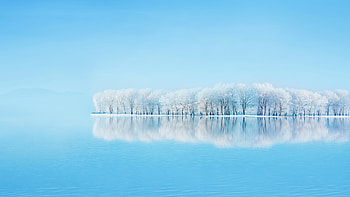 Frosted Trees Reflections HD wallpaper